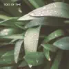 Tides of Time - Summer Rain - Single